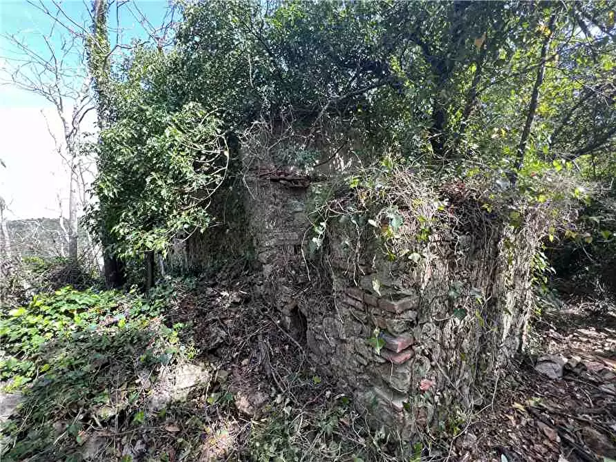 Immagine 4 di Rustico / casale in vendita  a Rio