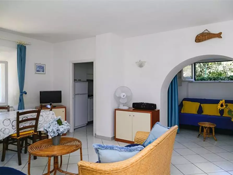 Immagine 9 di Porzione di casa in vendita  a Campo Nell'elba