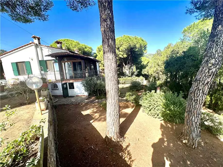 Immagine 2 di Villa in vendita  a Porto Azzurro