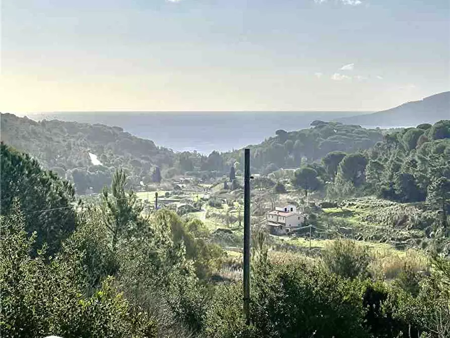 Immagine 12 di Villa in vendita  a Porto Azzurro