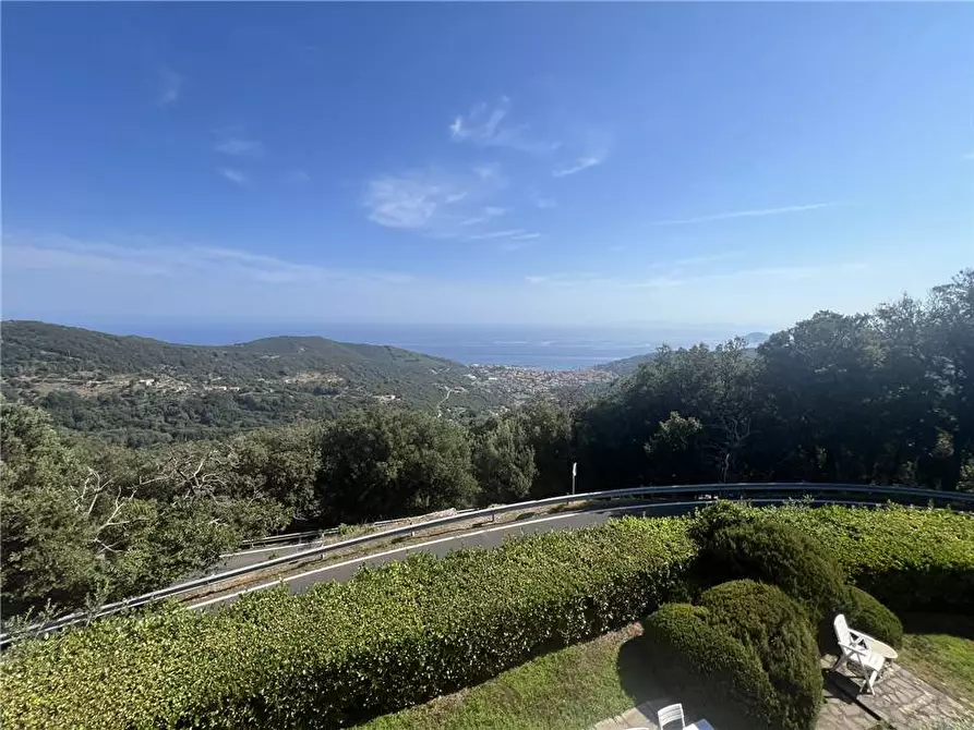 Immagine 7 di Appartamento in vendita  a Marciana