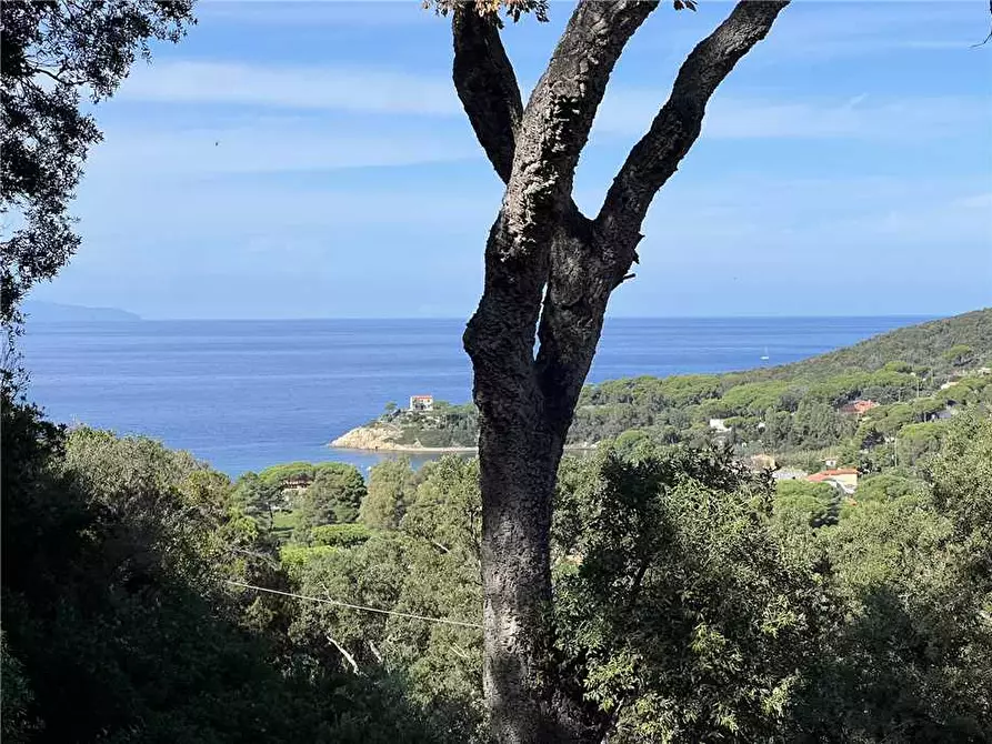 Immagine 1 di Villa in vendita  a Marciana