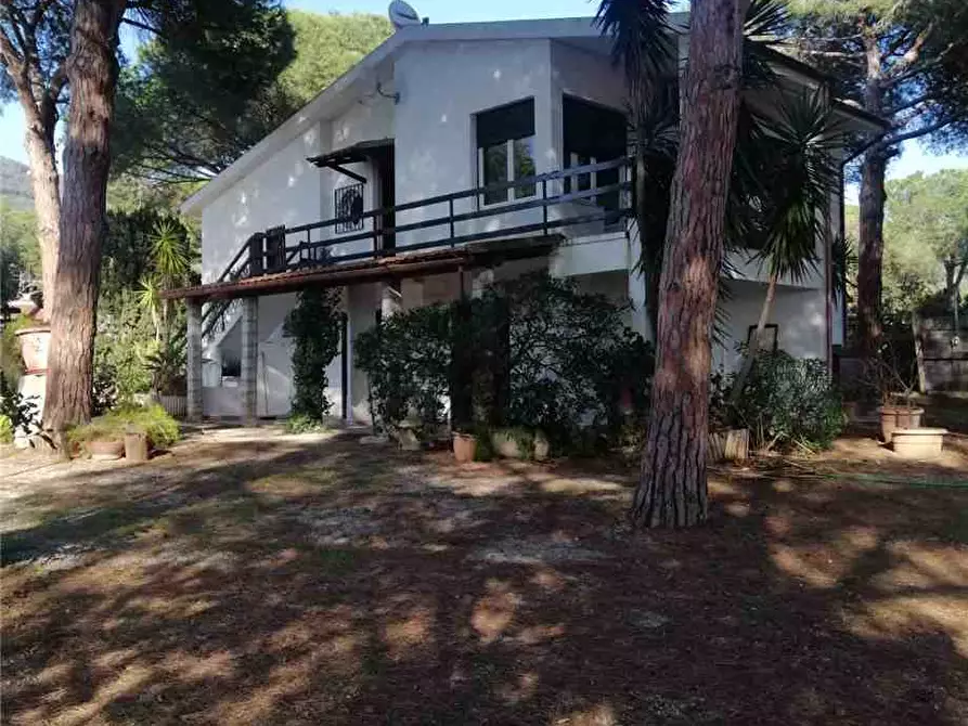 Immagine 6 di Villa in vendita  a Capoliveri