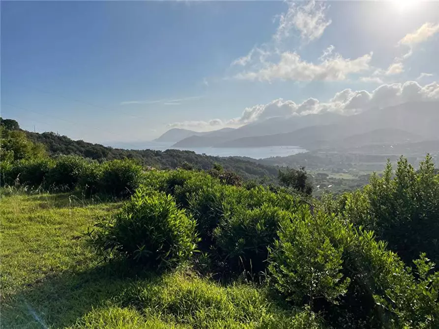 Immagine 8 di Villa in vendita  a Portoferraio