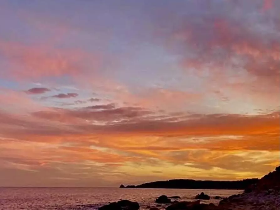 Immagine 14 di Albergo/B&B/Residence in vendita  a Campo Nell'elba