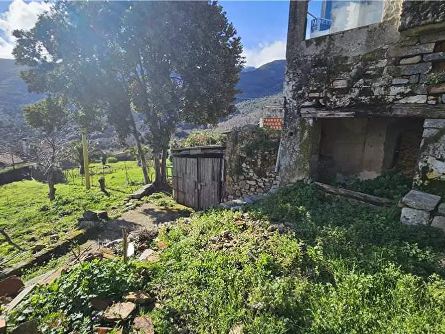 Immagine 3 di Rustico / casale in vendita  a Marciana