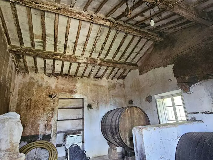 Immagine 4 di Rustico / casale in vendita  a Marciana