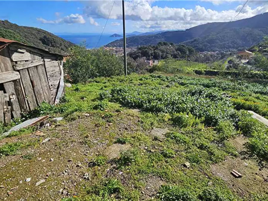 Immagine 5 di Rustico / casale in vendita  a Marciana