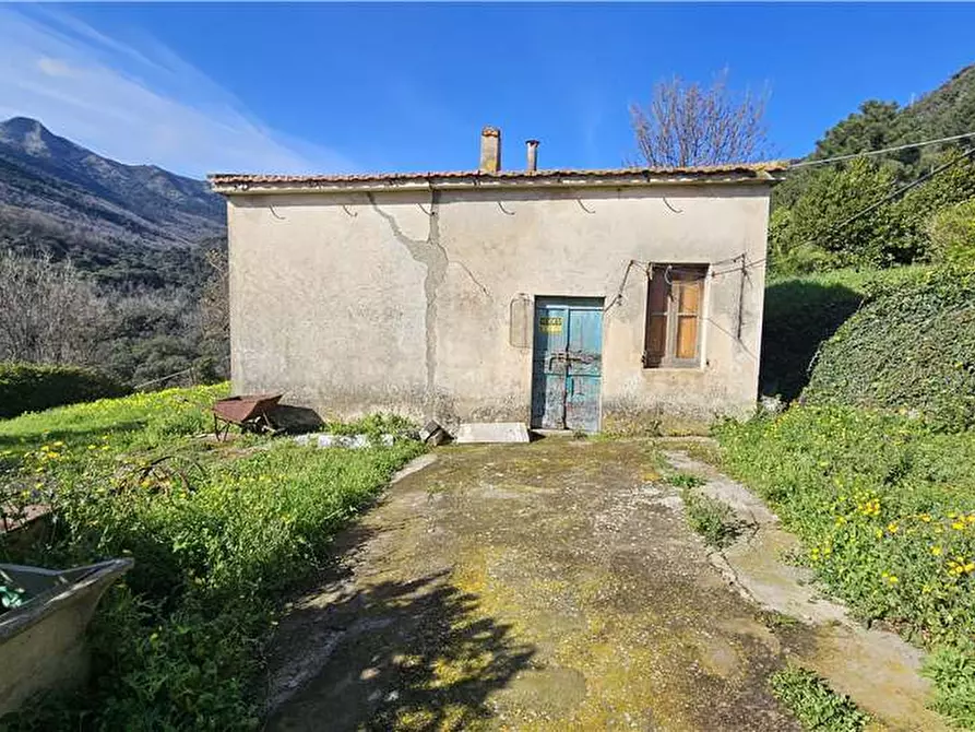 Immagine 2 di Rustico / casale in vendita  a Marciana