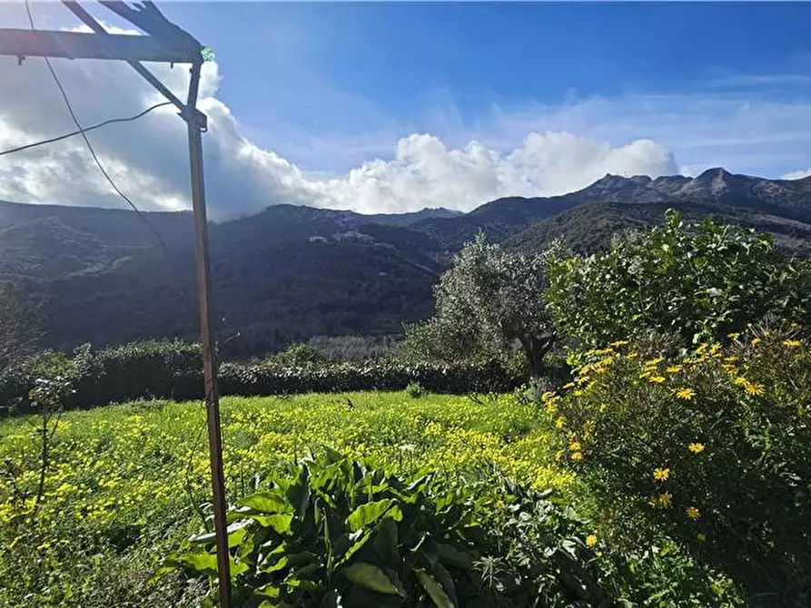 Immagine 3 di Rustico / casale in vendita  a Marciana