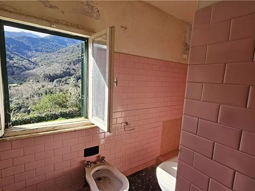 Immagine 5 di Rustico / casale in vendita  a Marciana
