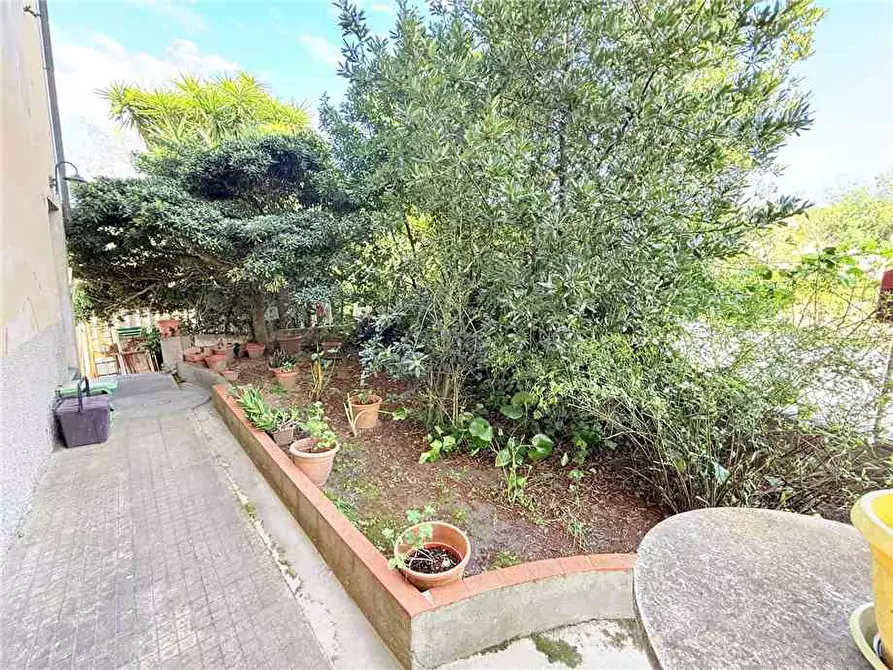 Immagine 7 di Appartamento in vendita  a Portoferraio