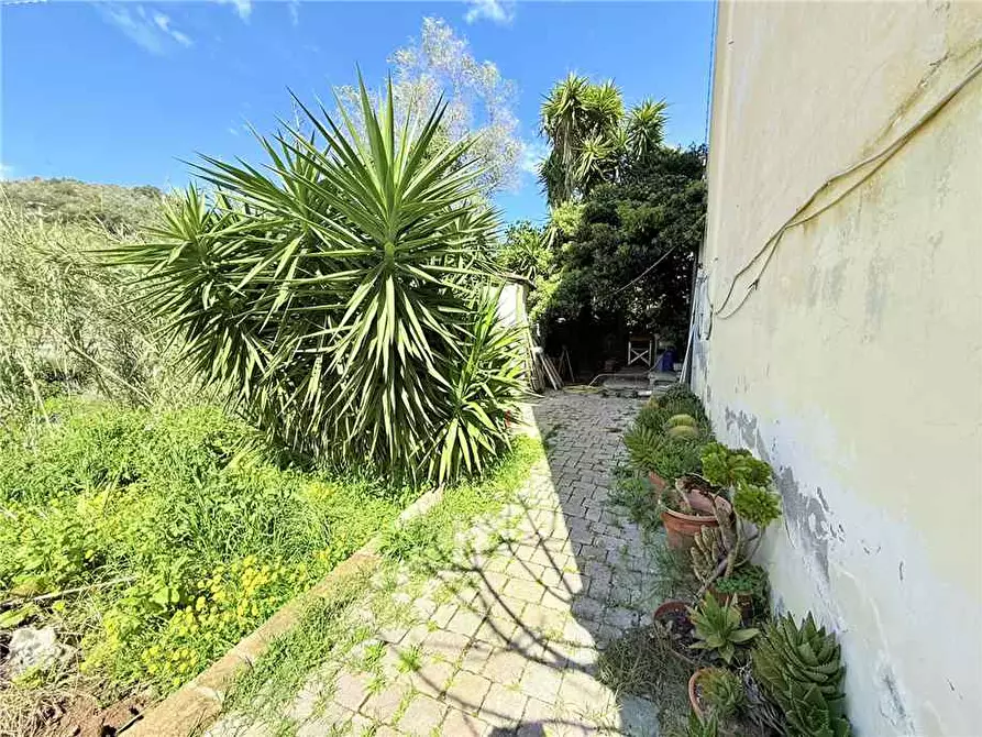 Immagine 8 di Appartamento in vendita  a Portoferraio
