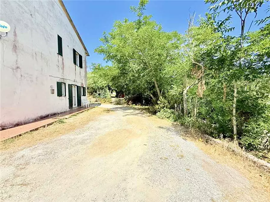 Immagine 5 di Villa in vendita  a Portoferraio