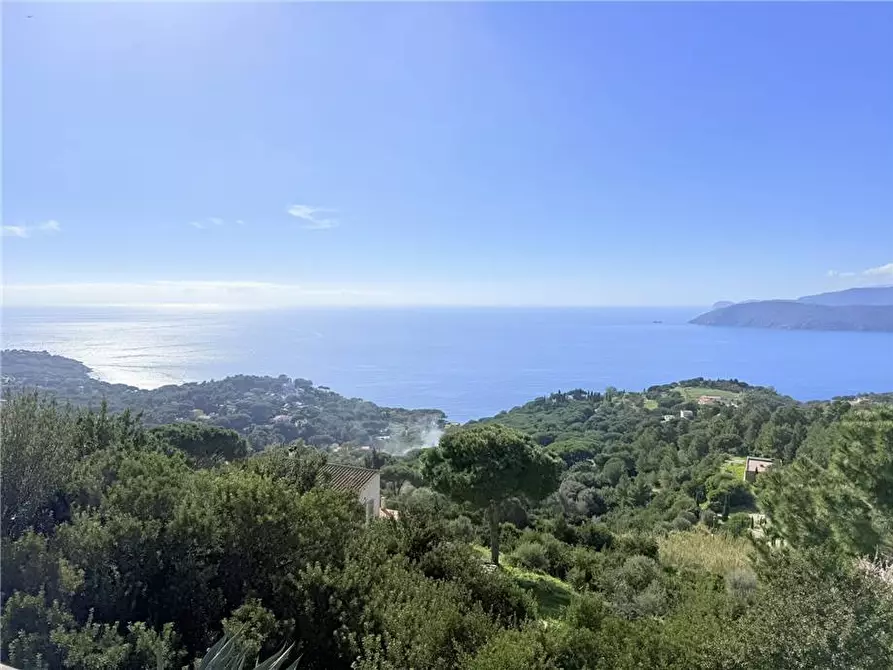 Immagine 2 di Appartamento in vendita  a Capoliveri
