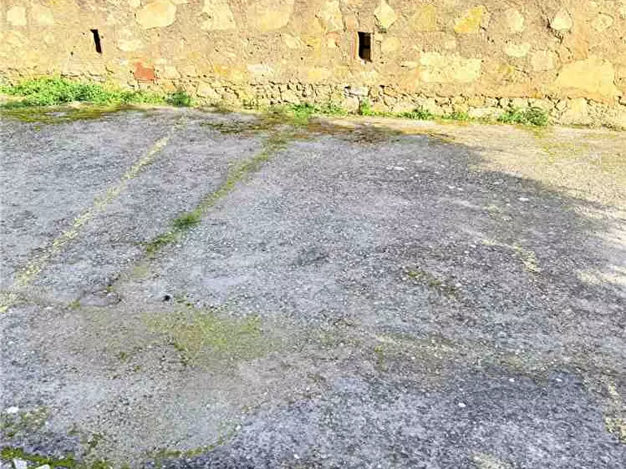 Immagine 10 di Appartamento in vendita  a Marciana Marina