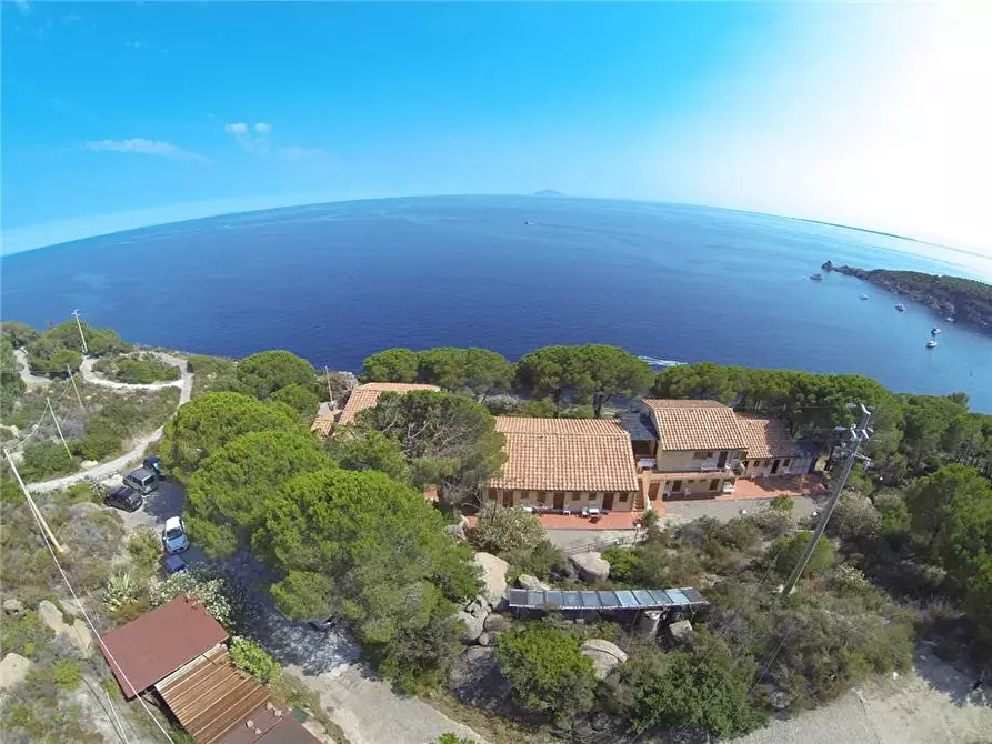 Immagine 3 di Appartamento in vendita  a Campo Nell'elba