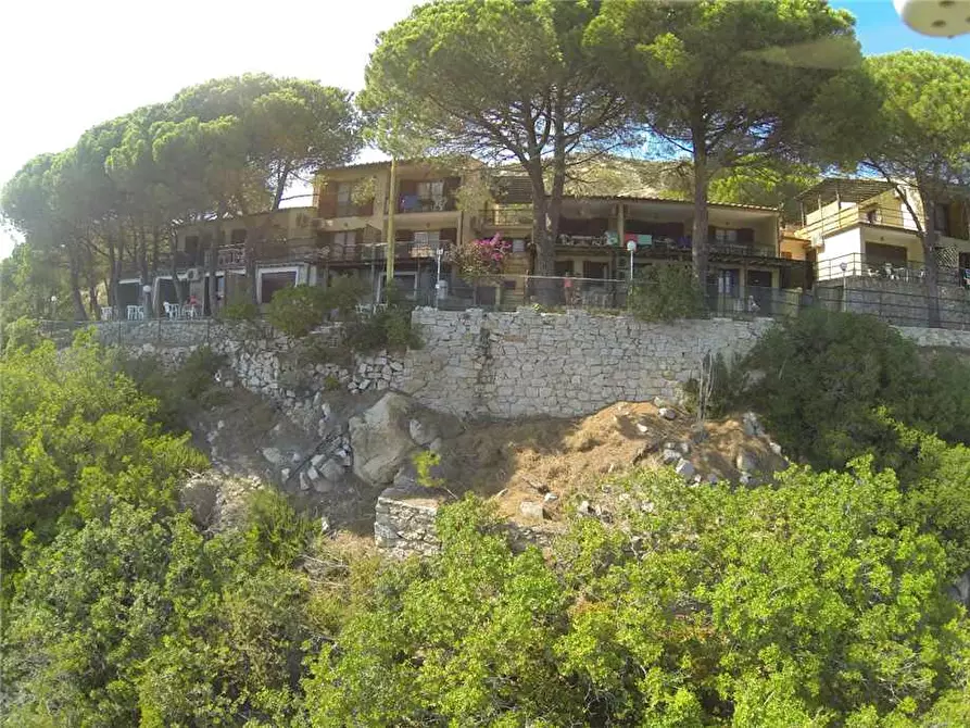 Immagine 4 di Appartamento in vendita  a Campo Nell'elba