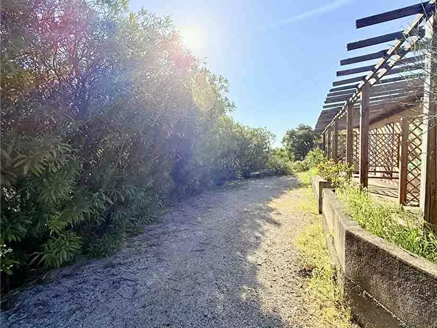 Immagine 4 di Villa in vendita  a Campo Nell'elba