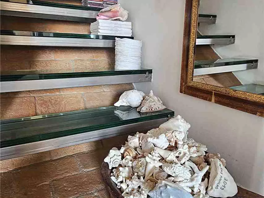 Immagine 6 di Appartamento in vendita  a Portoferraio