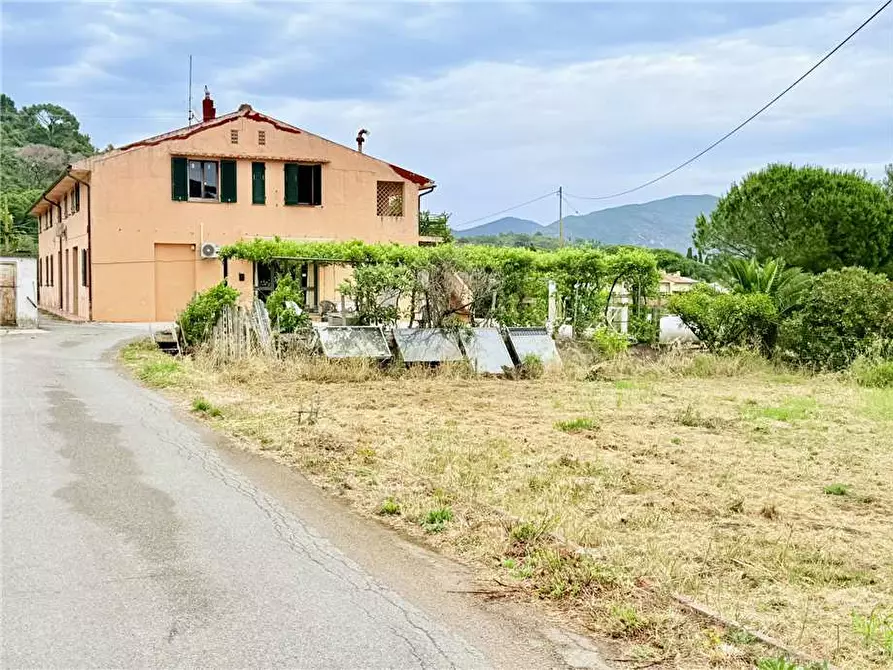 Immagine 11 di Villa in vendita  a Campo Nell'elba