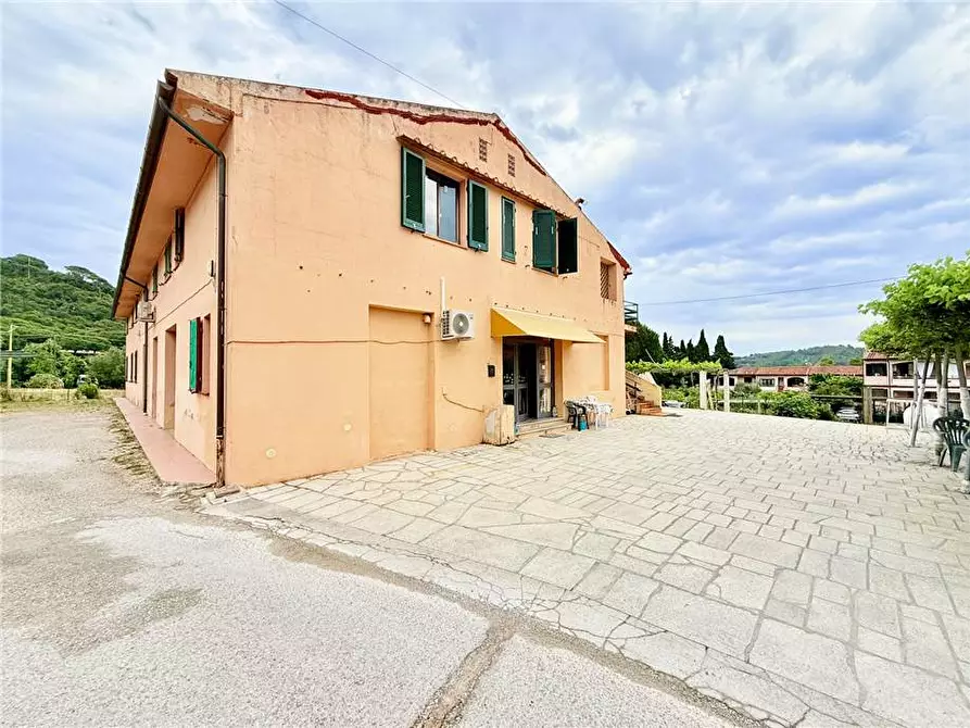 Immagine 2 di Villa in vendita  a Campo Nell'elba