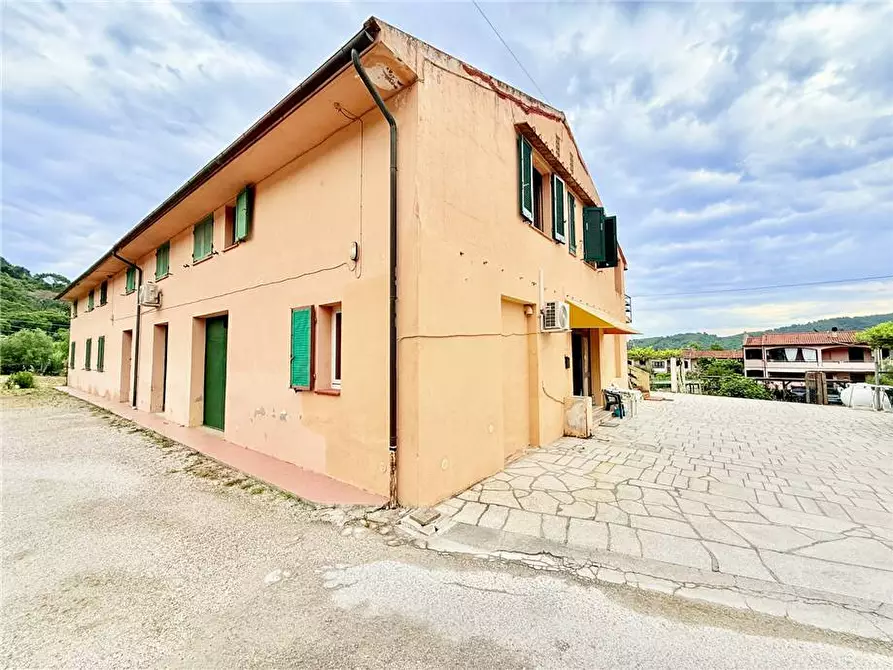 Immagine 3 di Villa in vendita  a Campo Nell'elba
