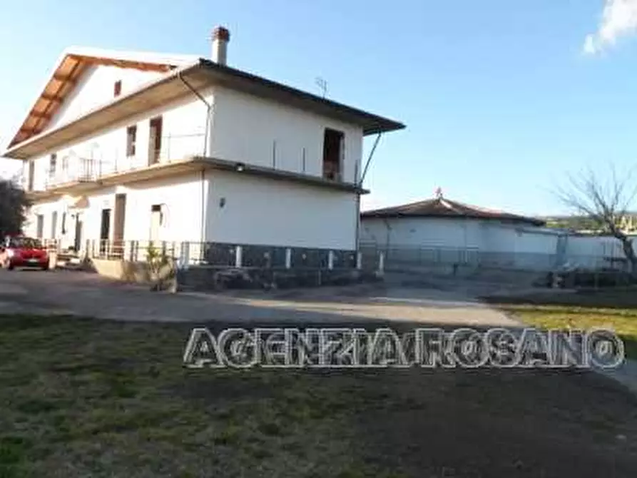 Immagine 5 di Stabile in vendita  a Santa Maria Di Licodia