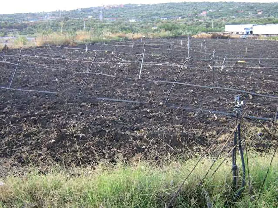 Immagine 1 di Terreno in vendita  a Adrano