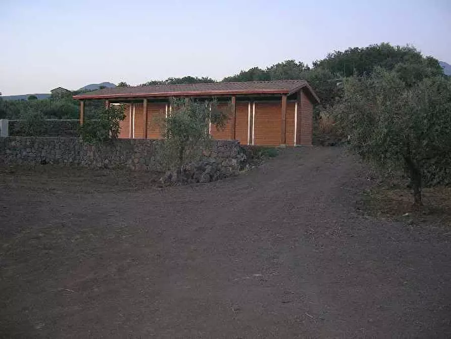 Immagine 2 di Azienda agricola in vendita  a Adrano