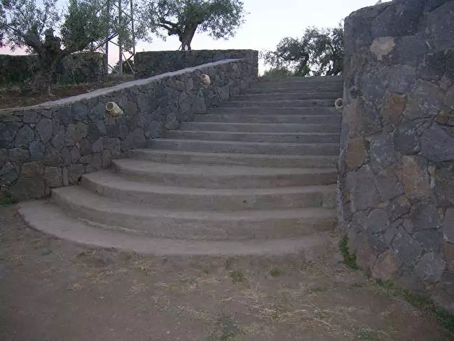 Immagine 4 di Azienda agricola in vendita  a Adrano