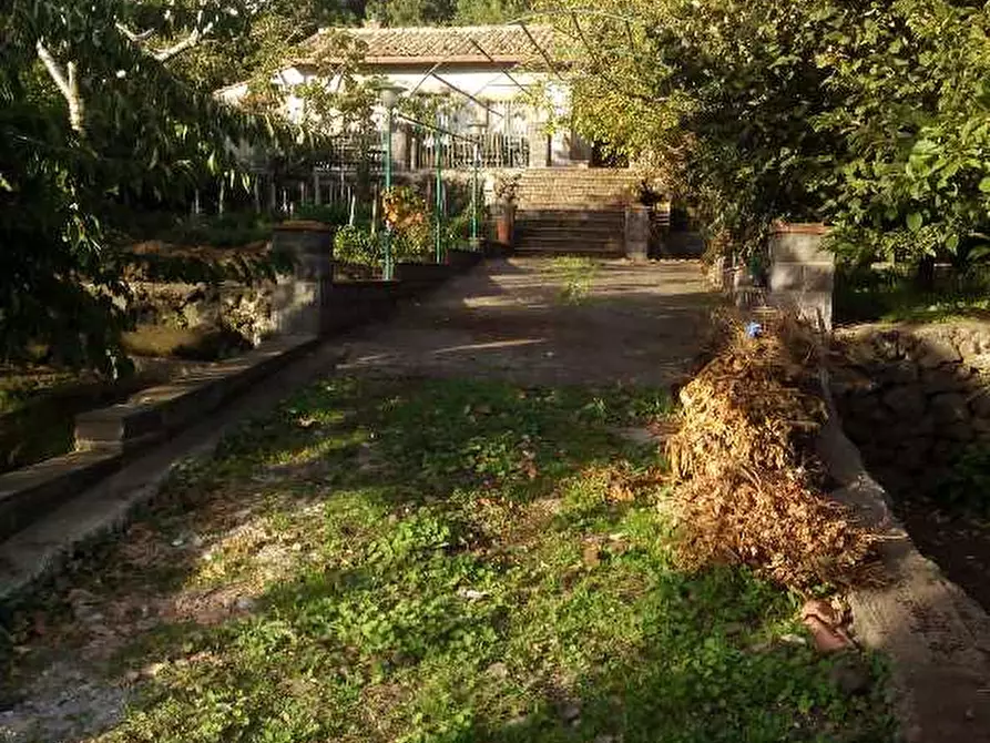 Immagine 3 di Villa in vendita  a Santa Maria Di Licodia