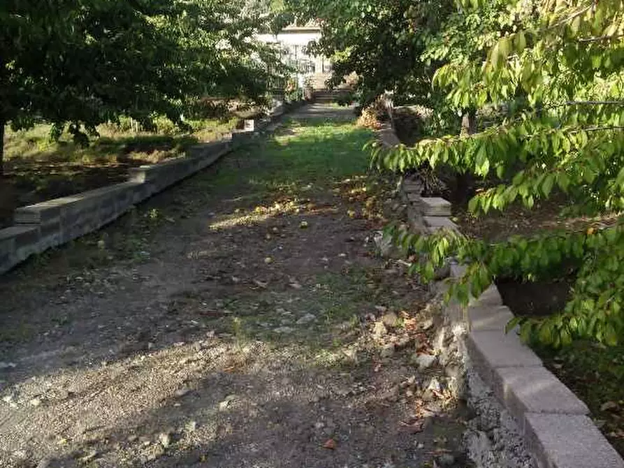Immagine 4 di Villa in vendita  a Santa Maria Di Licodia