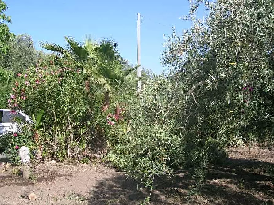 Immagine 3 di Rustico / casale in vendita  a Adrano