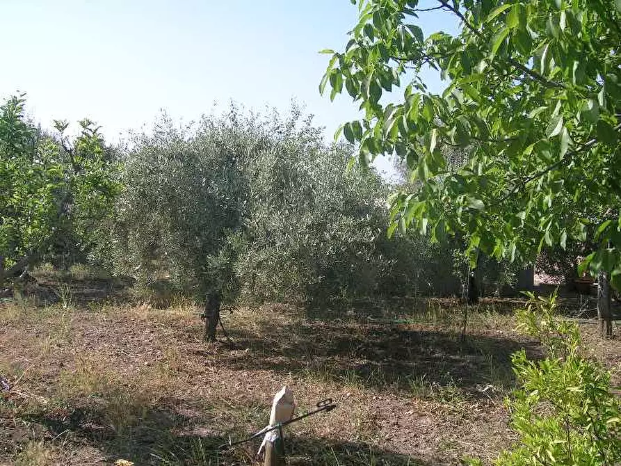 Immagine 4 di Rustico / casale in vendita  a Adrano