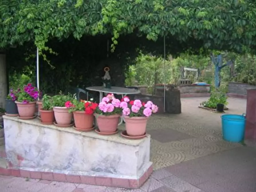 Immagine 2 di Villa in vendita  in Via cavaliere bosco a Santa Maria Di Licodia