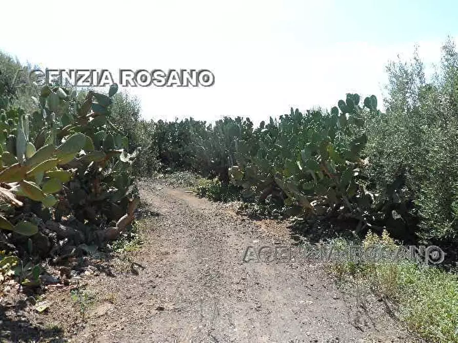 Immagine 2 di Terreno in vendita  in Via via del trebbiatore a Biancavilla