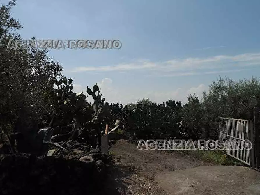 Immagine 3 di Terreno in vendita  in Via via del trebbiatore a Biancavilla