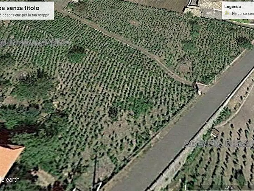 Immagine 2 di Terreno in vendita  in Loc. Montalto a Biancavilla