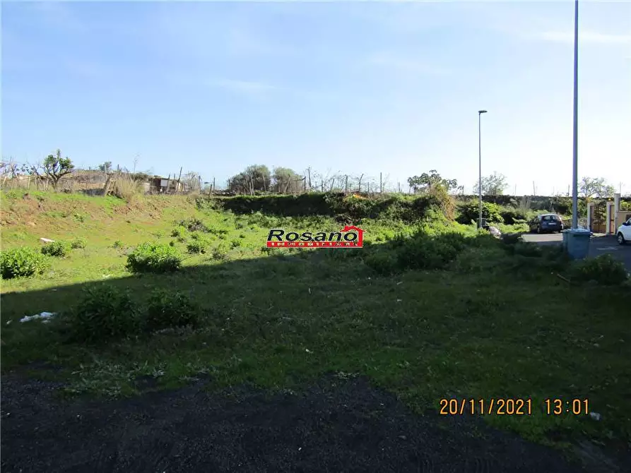 Immagine 3 di Terreno in vendita  in Via P.TOMASELLO a Santa Maria Di Licodia