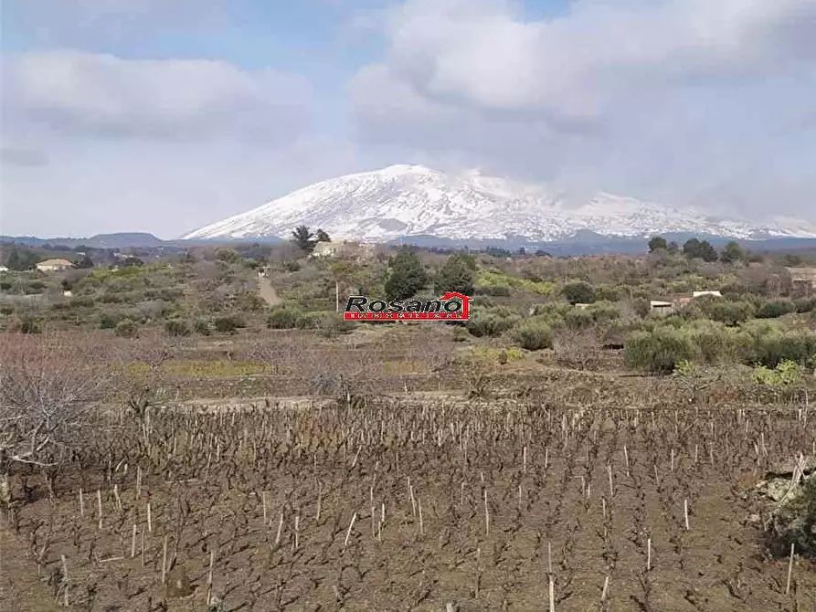 Immagine 2 di Terreno in vendita  in Loc. VIGNE a Biancavilla