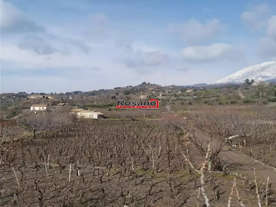 Immagine 3 di Terreno in vendita  in Loc. VIGNE a Biancavilla