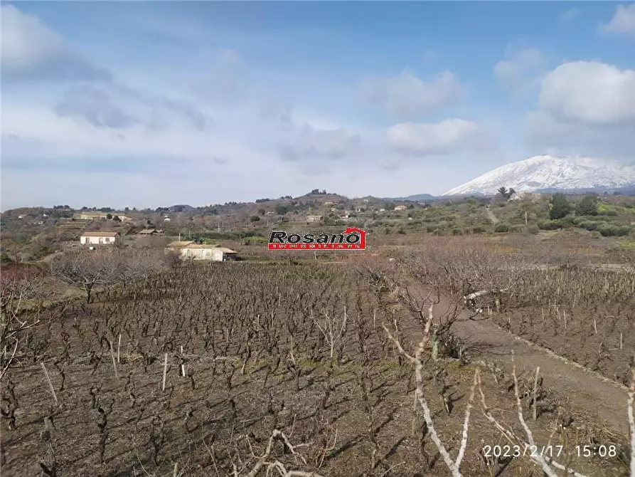 Immagine 4 di Terreno in vendita  in Loc. VIGNE a Biancavilla