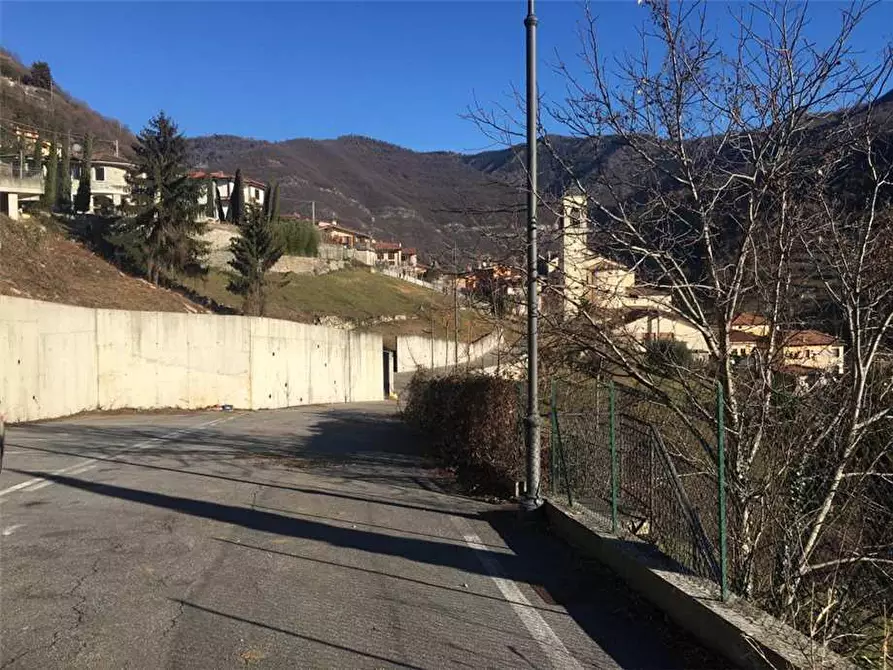 Immagine 2 di Terreno in vendita  in Via Degli Alpini a Adrara San Rocco