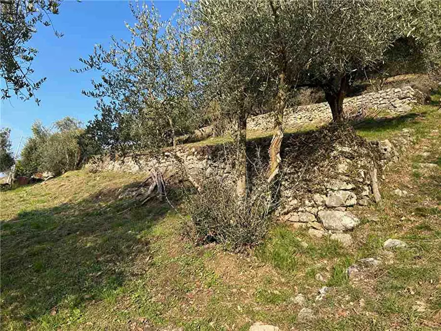 Immagine 13 di Terreno in vendita  in Via Vasti di Sopra, 10 a Predore