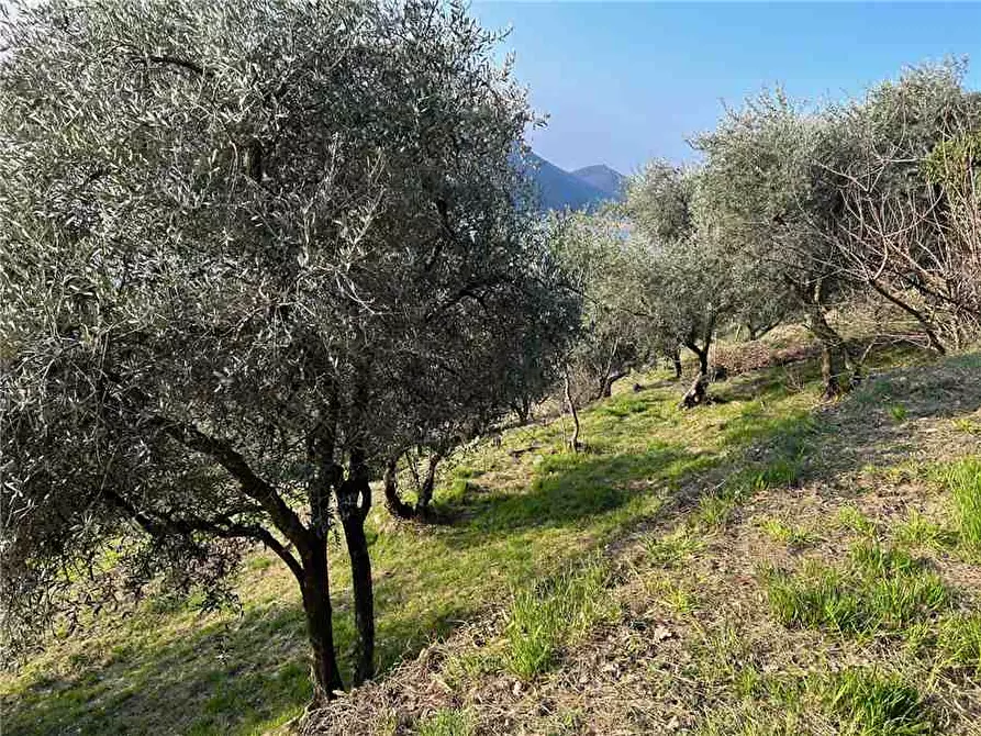 Immagine 8 di Terreno in vendita  in Via Vasti di Sopra, 10 a Predore