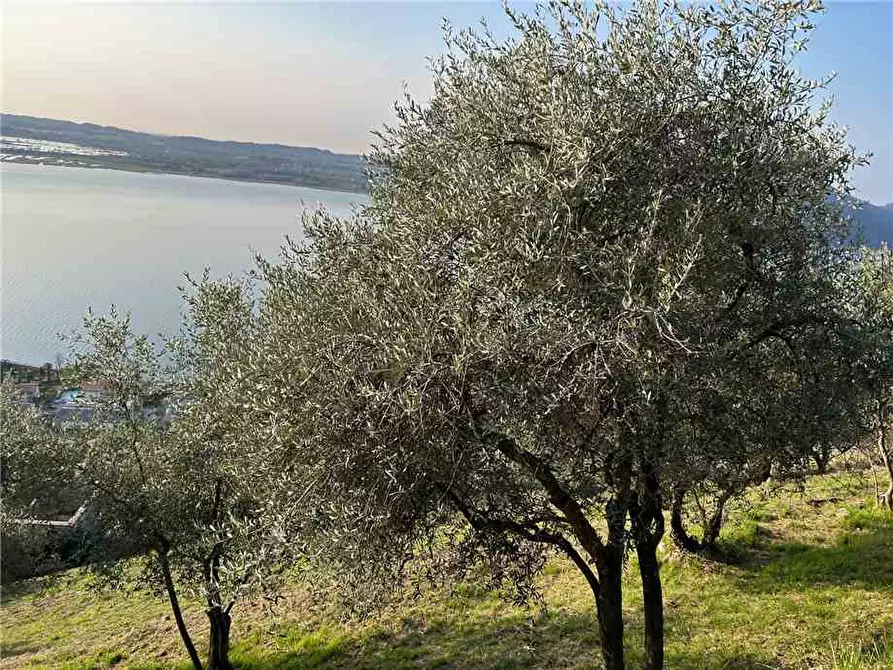 Immagine 9 di Terreno in vendita  in Via Vasti di Sopra, 10 a Predore