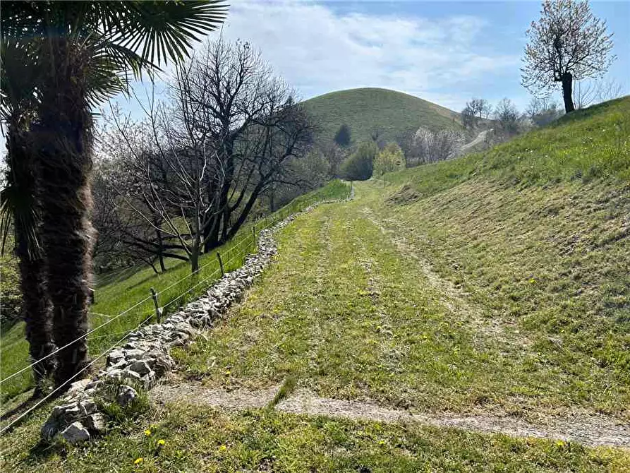 Immagine 3 di Rustico / casale in vendita  in Via Collecroce a Adrara San Martino