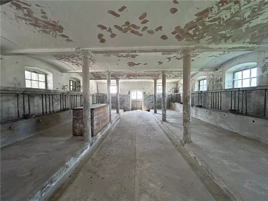 Immagine 6 di Rustico / casale in vendita  in Via Villa Belgiardino, 41 a Ceresara