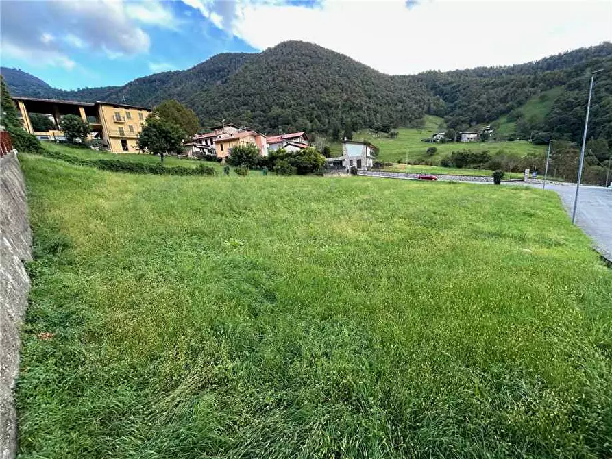 Immagine 3 di Terreno in vendita  in Via Colognola a Viadanica